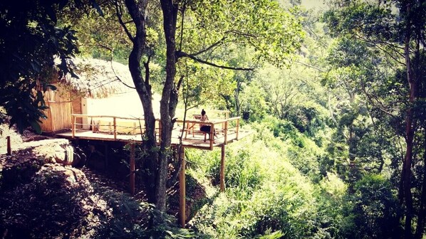 Áreas de la propiedad