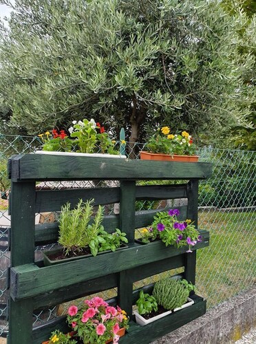 Bed and breakfast Casa Roman