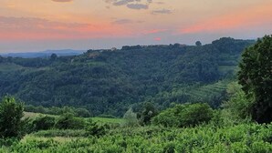 Vue sur la campagne depuis l’hébergement