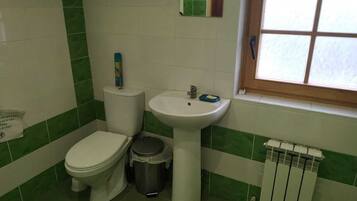 Dusche, Regendusche, Haartrockner, Handtücher