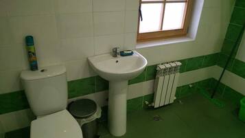 Dusche, Regendusche, Haartrockner, Handtücher