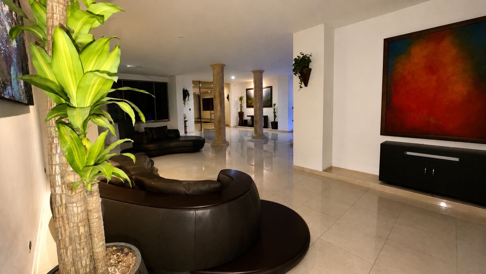 A modern living room with a curved black sofa, a large flat-screen TV, and a tall potted plant.
