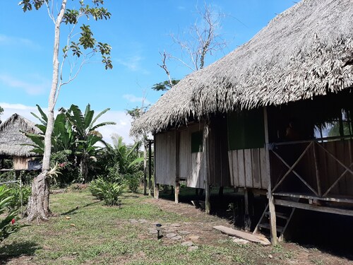 Inti Amazon Lodge - Lupuna Zona 2
