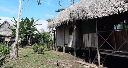 Inti Amazon Lodge - Lupuna Zona 2