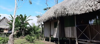 Inti Amazon Lodge - Lupuna Zona 2