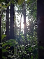 Caminatas
