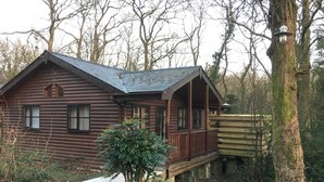 A rustic log cabin with a porch, surrounded by trees and a small garden. - Shrew Lodge Hot Tub (Carmarthen)
