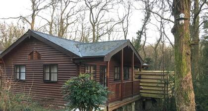 Shrew Lodge Hot Tub