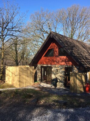 Une cabane rustique avec une façade en pierre, une terrasse en bois et un toit en métal.
