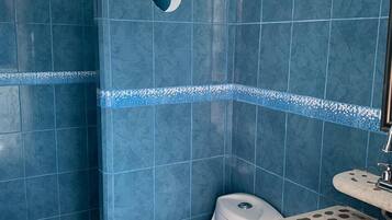 Shower, free toiletries, towels