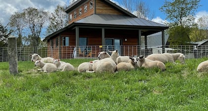 Fat Sheep Farm & Cabins