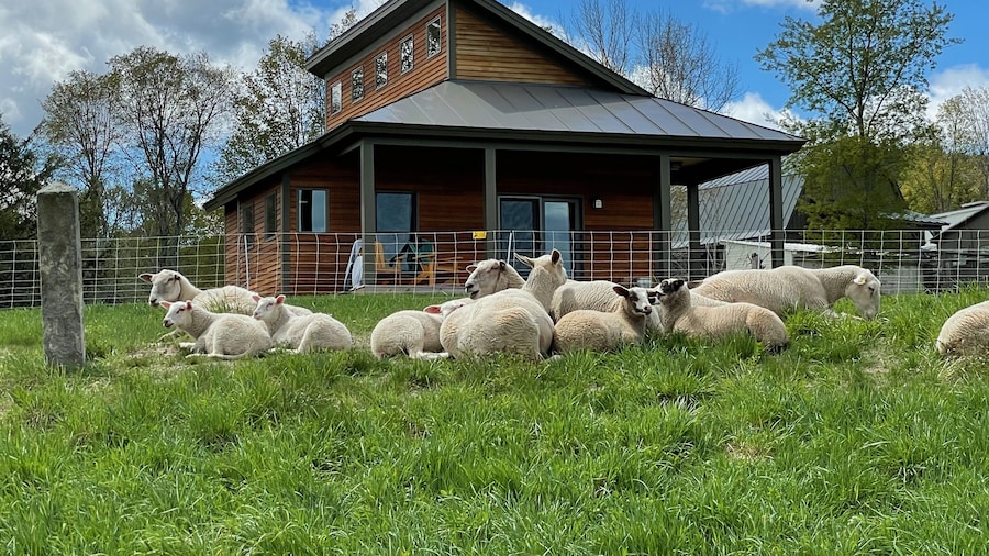 Fat Sheep Farm & Cabins