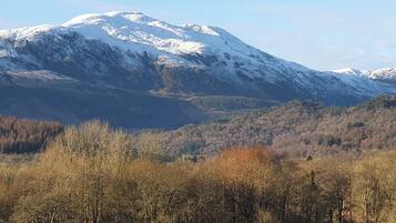 Paisagem de montanha com picos nevados e um vale arborizado.