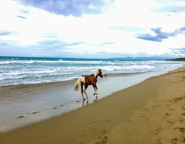 On the beach