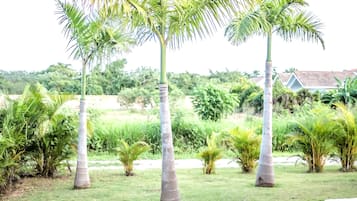 Parco della struttura