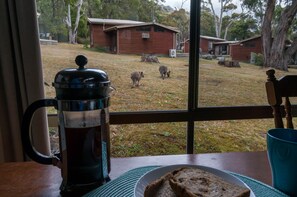 Game viewing - Wonderland Cottages (Halls Gap)