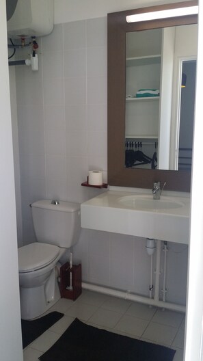 Douche, sèche-cheveux, serviettes fournies, papier toilette