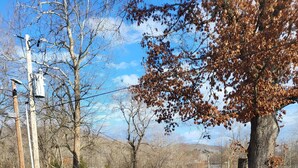 A gravel parking area with utility poles and a tree with autumn leaves. - Stand alone cabin,  sanitized, full kitchen. (Cadiz)