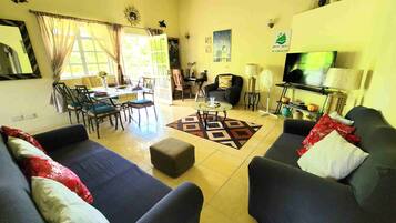Smart TV, DVD player, streaming services