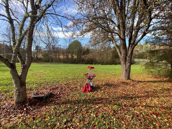 A park with trees, grass, and a frisbee on the ground. - Relax in the Smokeys, Close to Everything (Whittier)
