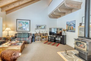 Televisión, chimenea, reproductor de DVD, libros