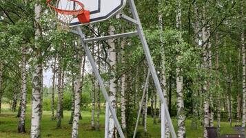 Canasta de baloncesto en zona boscosa con abedules.