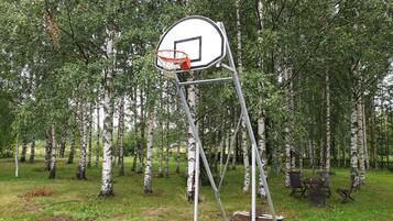 A basketball hoop in a park with birch trees in the background.