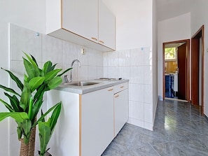 A modern kitchen with white cabinets, a stainless steel sink, and a potted plant. - Wonderful private villa for 10 people with A/C, WIFI, TV, balcony and pets allowed (Zadar)