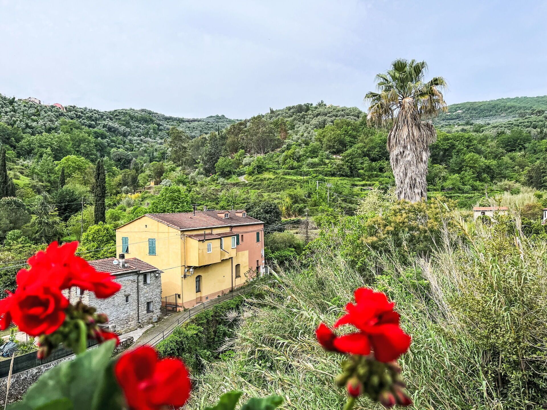 A rural landscape with a yellow building, surrounded by greenery and hills.