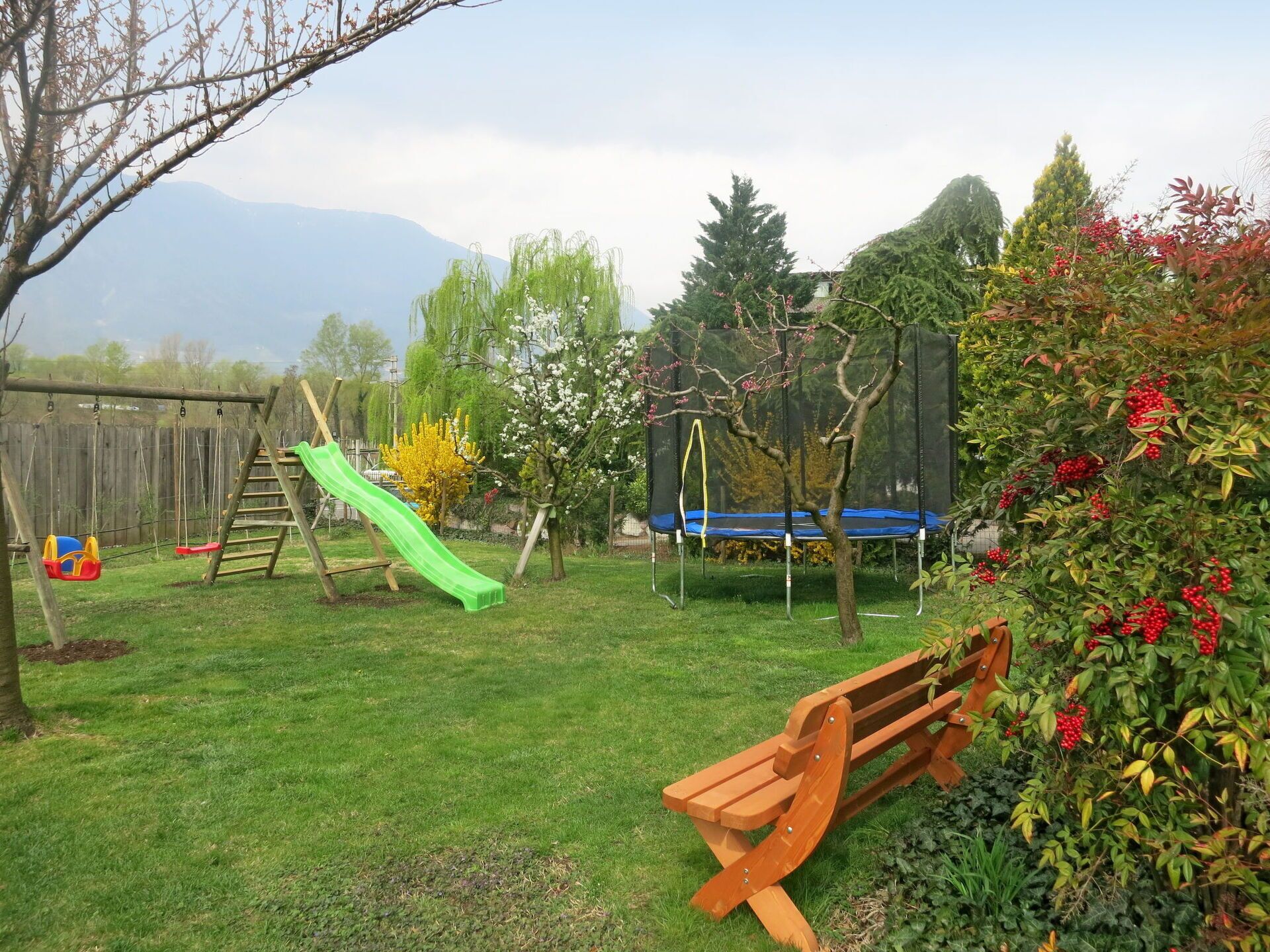 Himmel, Pflanze, Blume, Wolke, Blatt, Natur, Baum, Schatten, Grundstueck, Gras