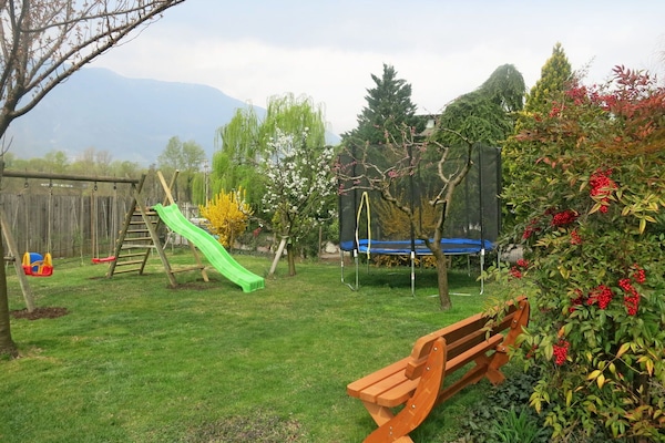 Himmel, Pflanze, Blume, Wolke, Blatt, Natur, Baum, Schatten, Grundstueck, Gras