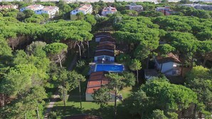 An aerial view of a residential area with houses surrounded by lush greenery, a clear blue sky, and a beach in the background. - Beautiful  villa for 6 guests with pool, A/C, TV, terrace and pets allowed (San Michele Al Tagliamento)
