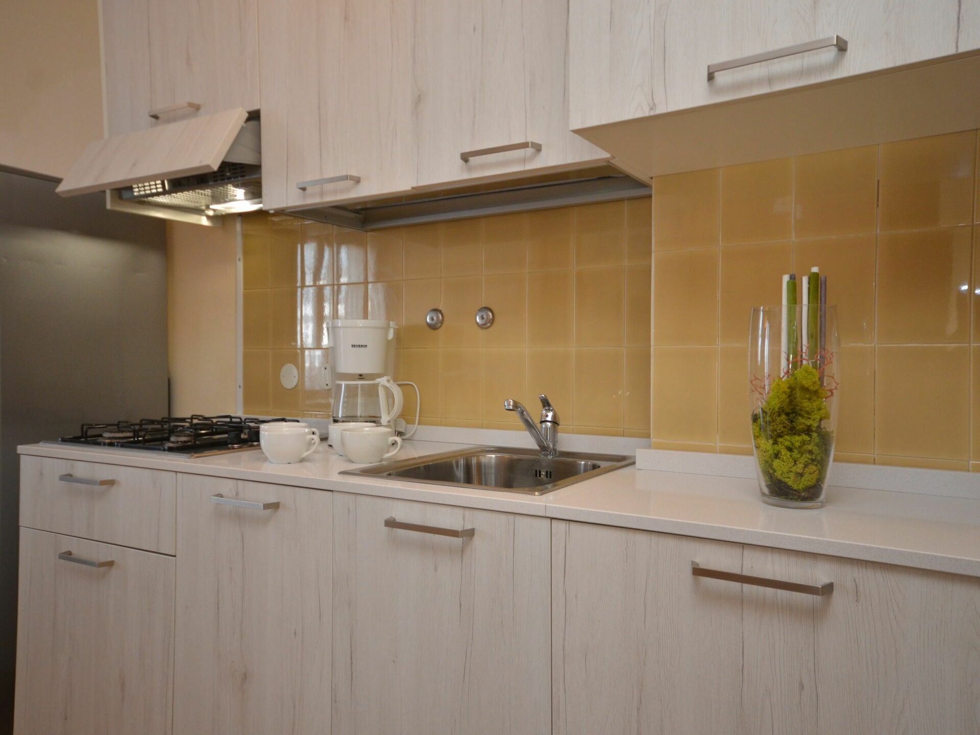 Eine moderne Küche mit hellen Holzschränken, einer Edelstahl-Spüle, einer Kaffeemaschine und einer Vase mit Grünpflanzen.