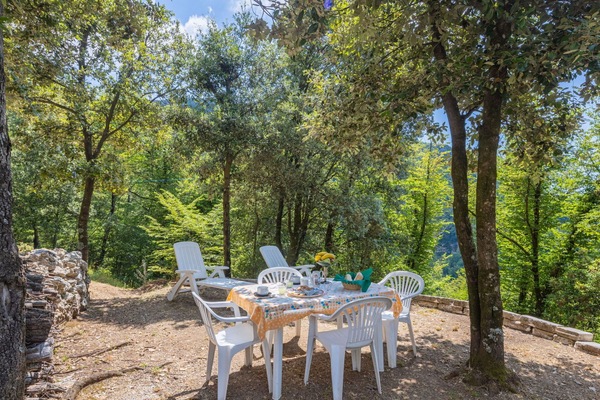 Eigentum, Natur, Baum, Grundeigentum, Tabelle, Naturschutzgebiet, Natürlichen Umgebung, Möbel, Hütte, Haus