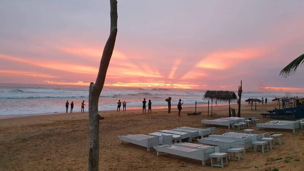 A beach with lounge chairs and umbrellas, a palm tree, and the ocean. - Clara guest (Hikkaduwa)