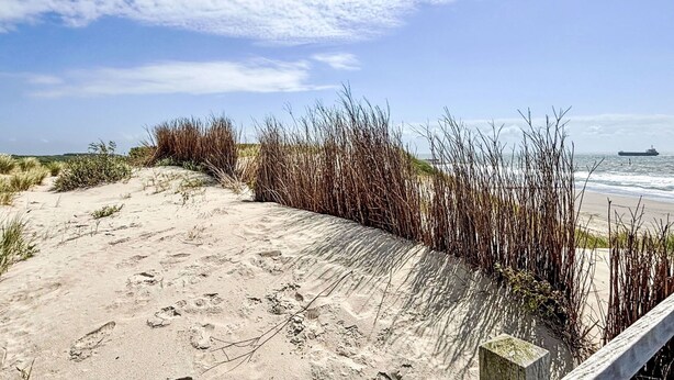 A sandy beach with tall grasses and a ship in the distance. - Wonderful private villa for 5 people with WIFI, TV, terrace and pets allowed (Schoondijke)
