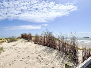 Een zandstrand met hoge grassen en een schip in de verte.