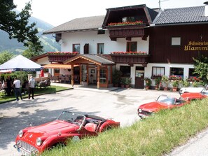 Exterior - Cosy apartment in villa for 7 people with WIFI, TV and terrace (Mitterdorf)