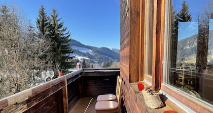 Nice apartment for 14 guests with WIFI, TV, balcony and pets allowed