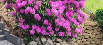 Het nieuwe appartement van Keller op zolder