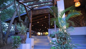 Una escalera de madera que conduce a una zona cubierta con luces colgantes, rodeada de plantas en macetas.