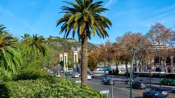 Parkeerplaatsen op het terrein