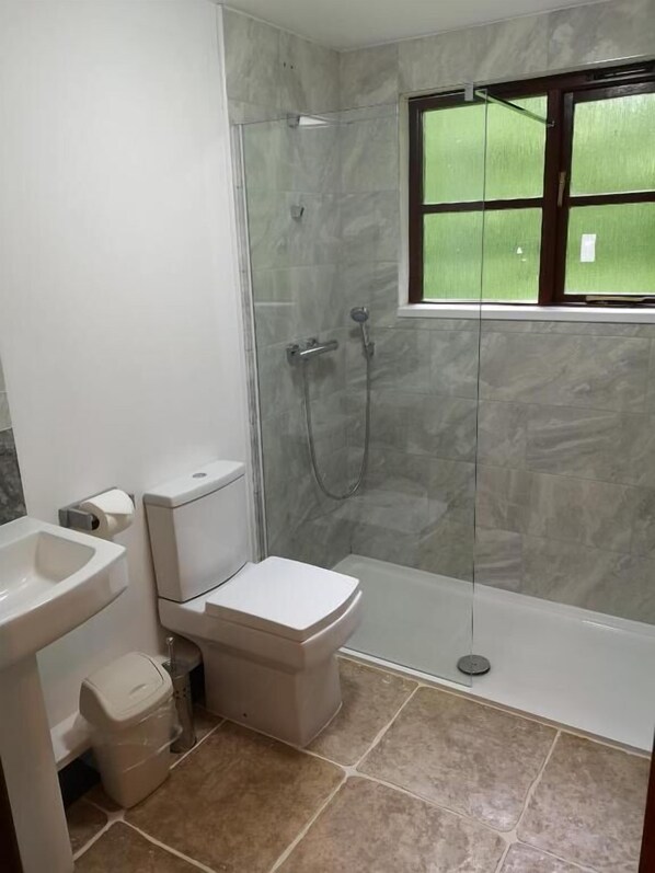 A bathroom with a toilet, bidet, and shower. - Goldcrest 4 Hot Tub (Carmarthen)