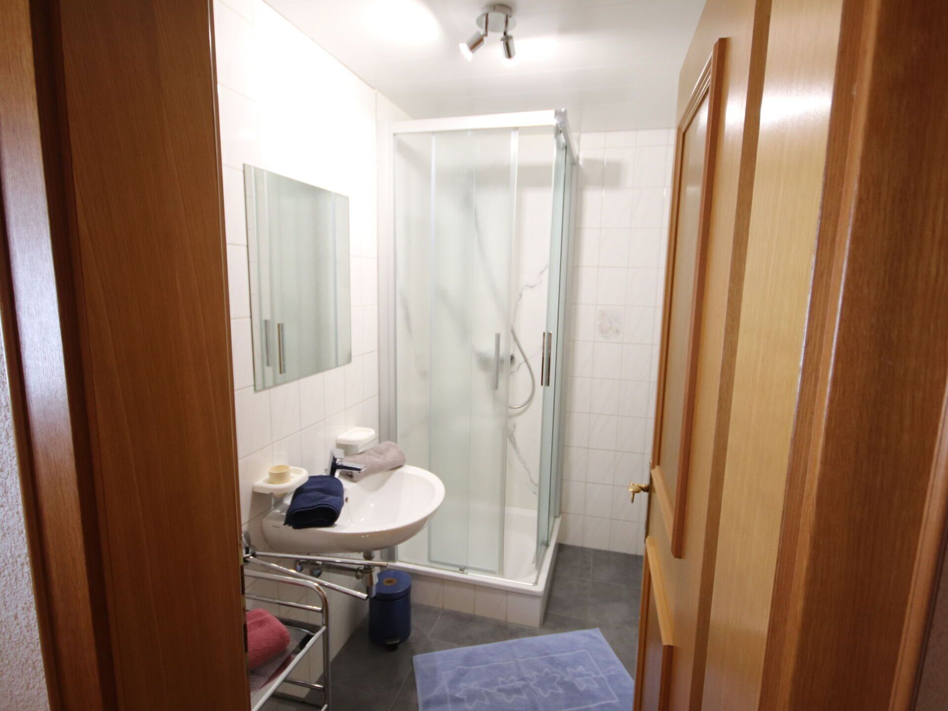 A modern bathroom with a glass shower enclosure, a sink with a mirror, and a towel rack.