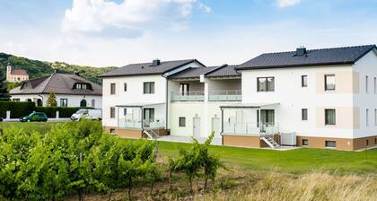 Joli appartement pour 6 personnes avec WIFI, climatisation, TV, terrasse et animaux admis