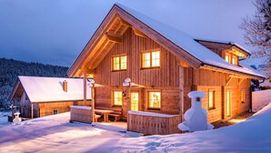 A wooden cabin with a sloped roof, large windows, and a covered porch area. - Cosy apartment in villa for 18 guests with WIFI, pool, TV, terrace and pets allowed (Klazenberg)