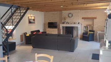 TV, fireplace, books