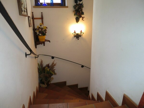 A staircase with a handrail, a wall-mounted light fixture, and a shelf with a potted plant.