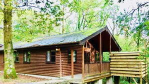 A rustic log cabin with a porch, surrounded by trees. - Goldcrest 3 Hot Tub (Carmarthen)