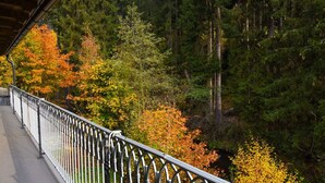 Un puente con barandilla de metal que da vista a un bosque con follaje otoñal.